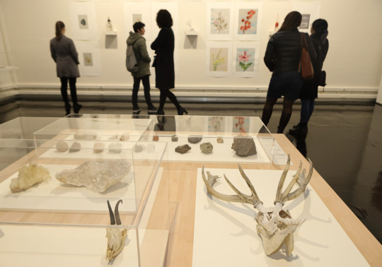 Exposición ‘Sistema Humboldt: Pensar/Pintar’ en La Nau.