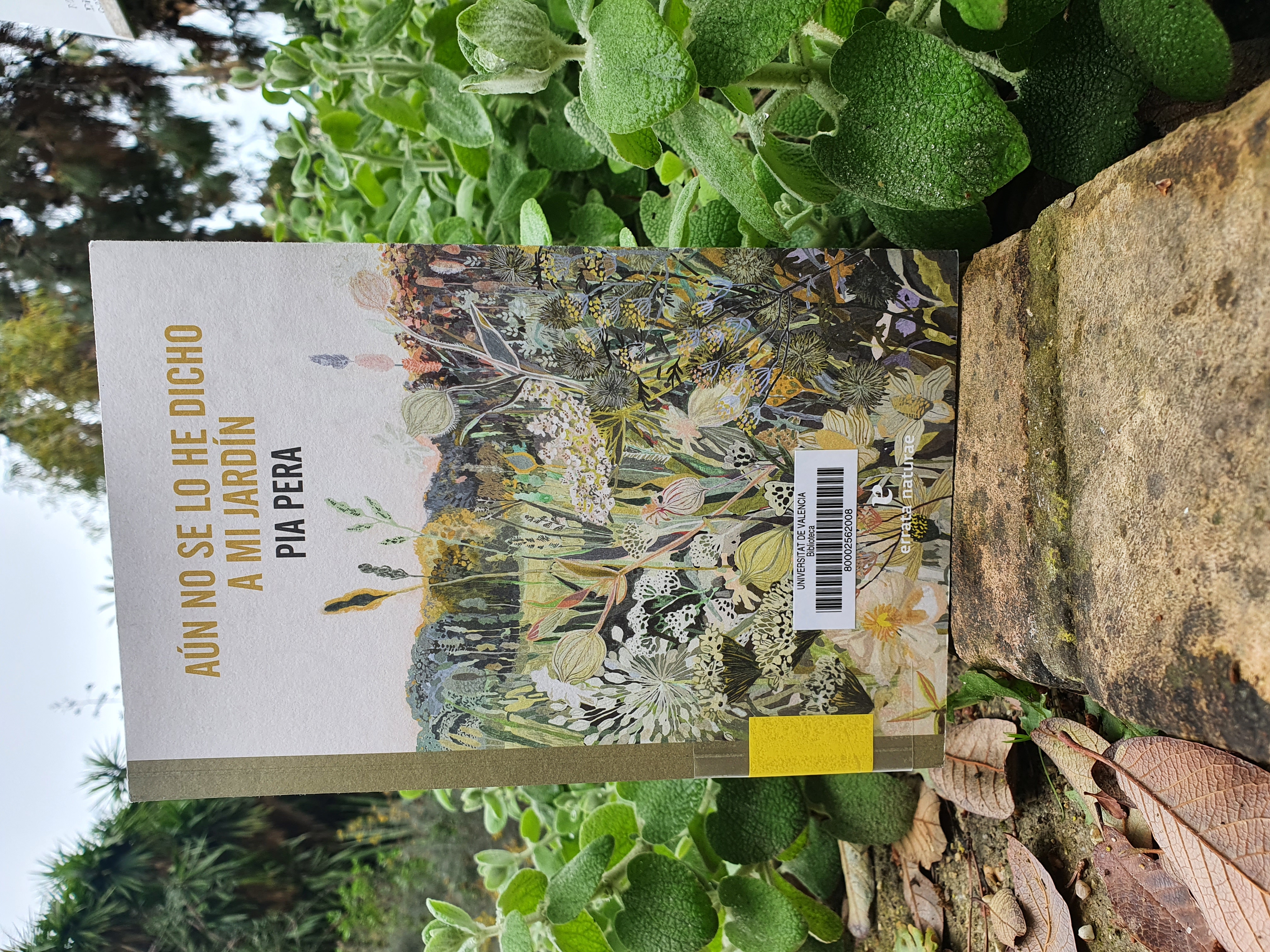 foto libro