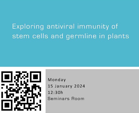 Exploring antiviral immunity of stem cells and germline in plants