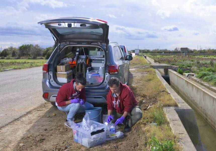 Investigadores regogiendo muestras