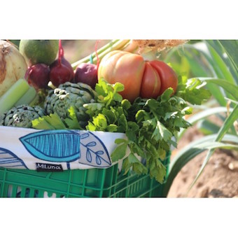 Responsible Basket