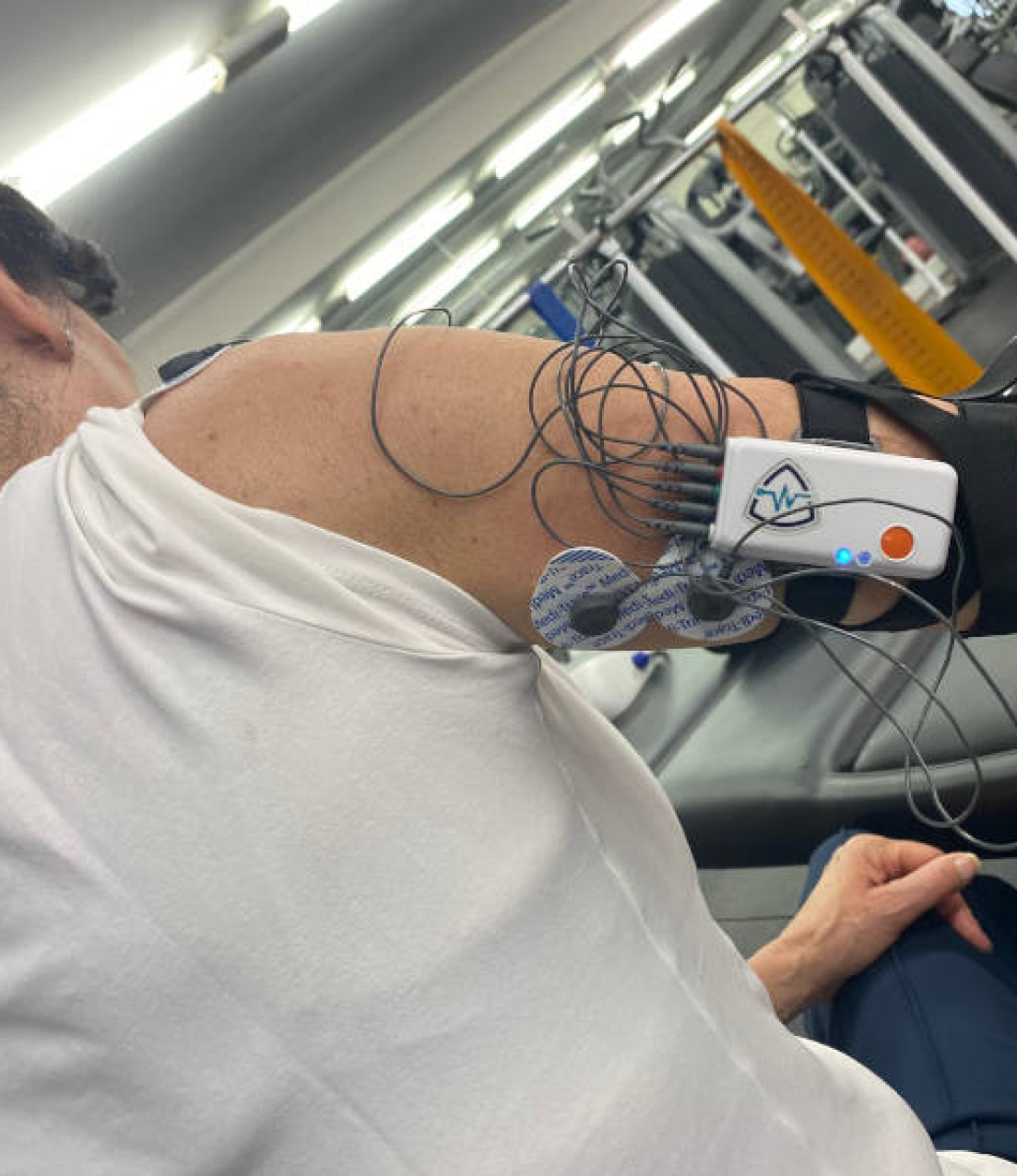 Entrenamiento de fuerza