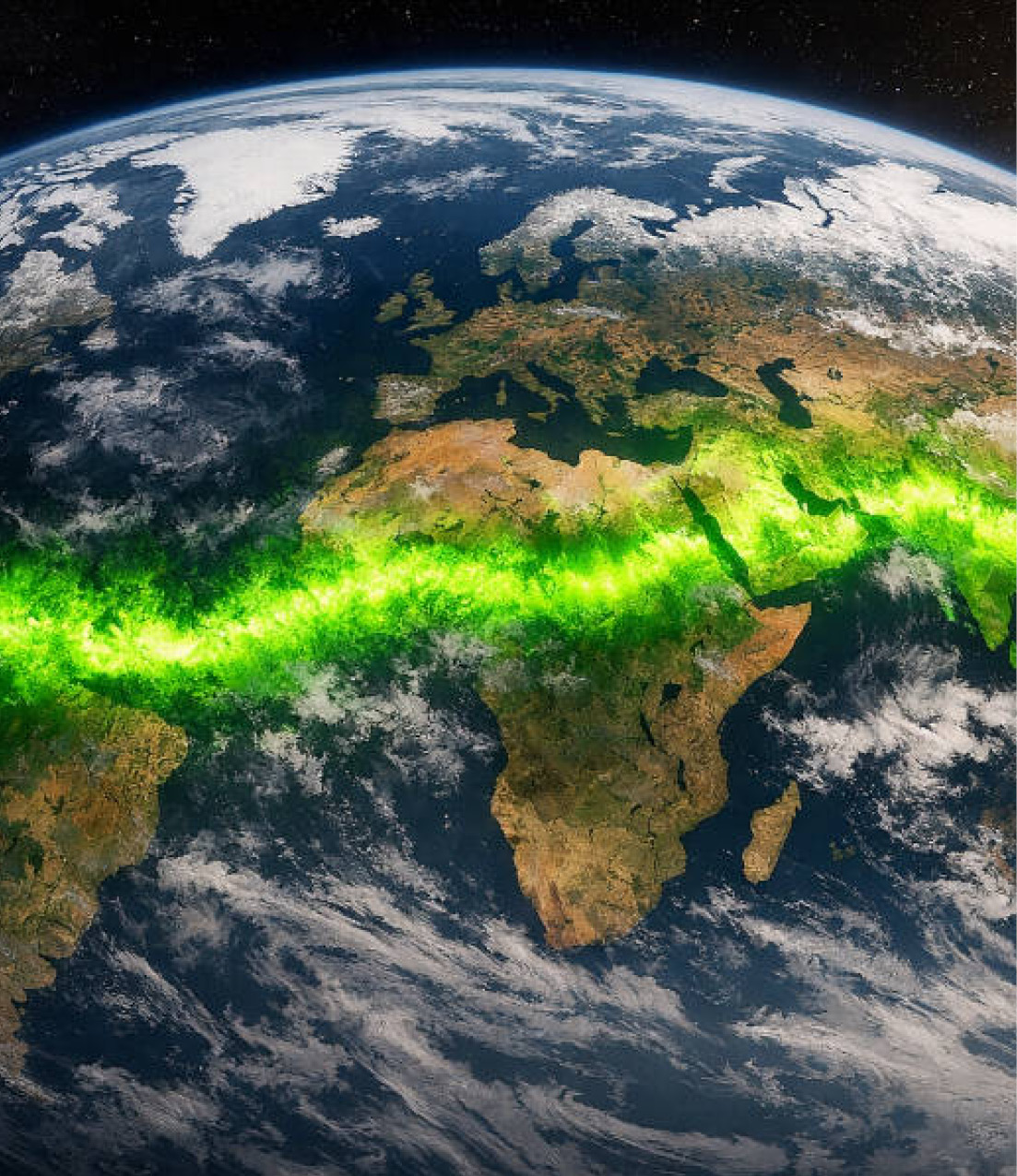 Infographics of Earth vegetation