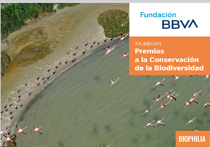 XX Premios a la Conservación de la Biodiversidad. Convocatoria 2024