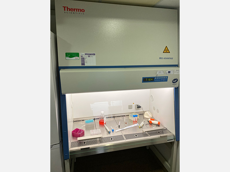 Thermo Scientific MSC Advantage