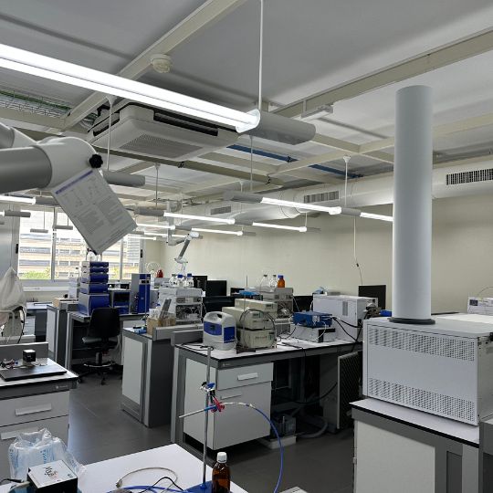Representative picture of the project