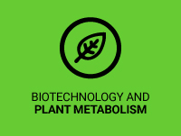 Imatge de Bioteconologia i Metabolisme Vegetal