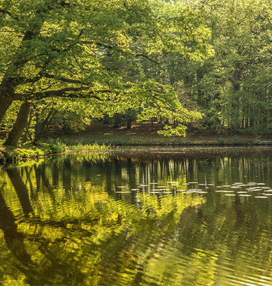 Cátedra Horizonte Verde: Nexo Agua-Bioenergía