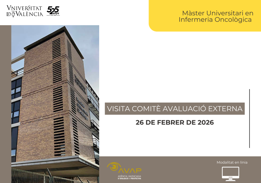 Visita comité evaluación externa