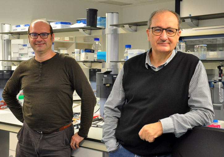 Vicente Pérez Brocal (izquierda) y Andrés Moya, investigadores de Fisabio-Salud Pública y del CIBEResp. Moya también es catedrático de Genética de la Universitat de València.