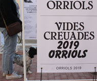 Imagen representativa del proyecto