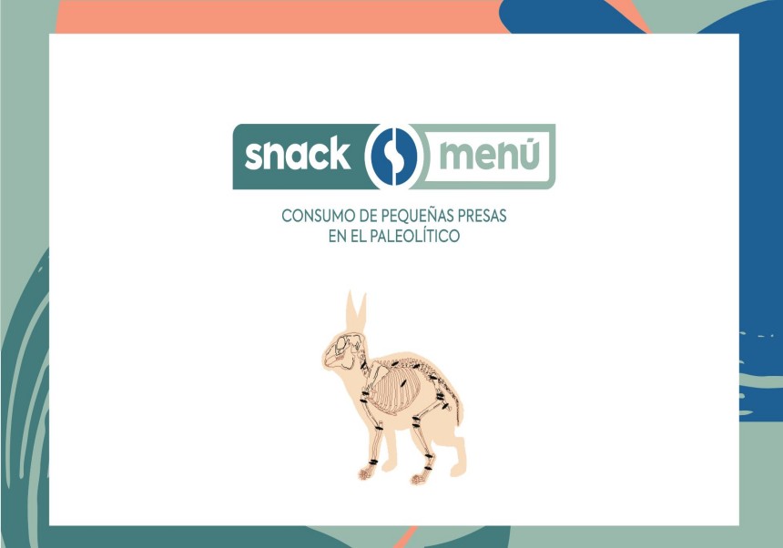 Imatge del cartell