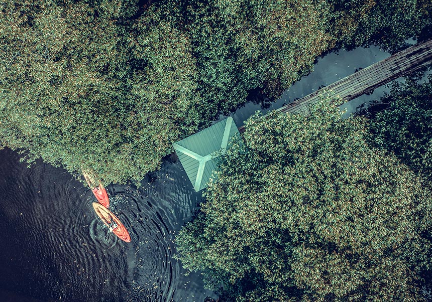 Imagen de fondo verde