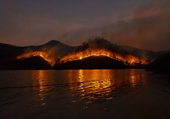 INCENDI FORESTAL