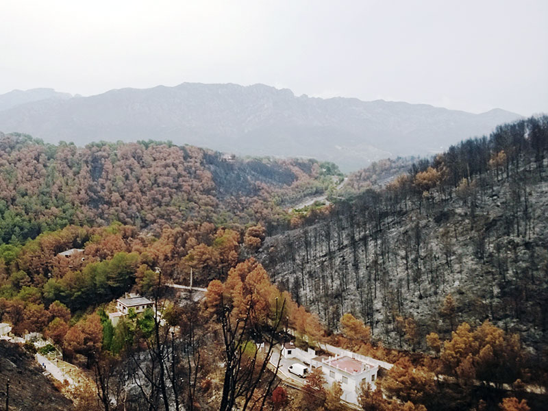 La Universitat de València organiza en Carcaixent la jornada formativa ‘Retos y oportunidades después de un incendio forestal’