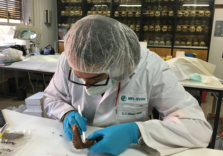 Domingo Carlos Salazar, molecular archaeologist and researcher of the University of Valencia.