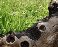 Imagen representativa del proyecto