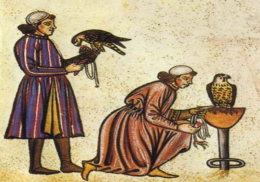 Seminari: «La cura de les aus de caça en l'Edat Mitjana i el Renaixement»