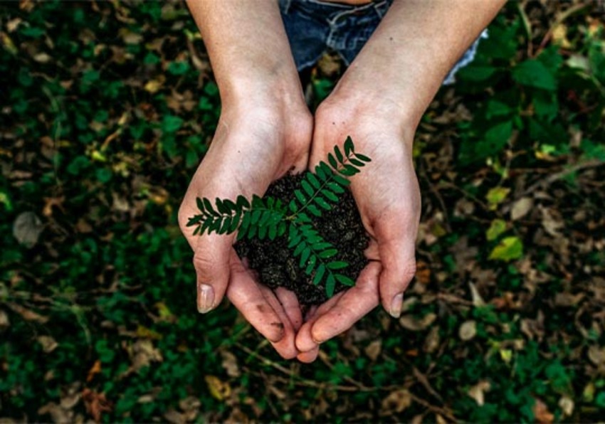 Subvenciones Fundación Biodiversidad