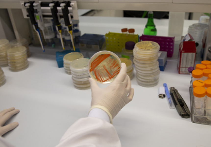 Laboratori UV