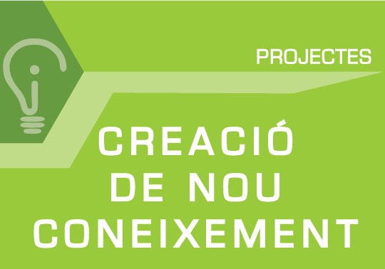 Projecte. Línia d'actuació: Creació de nou coneixement