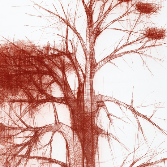 Arbre Baobà