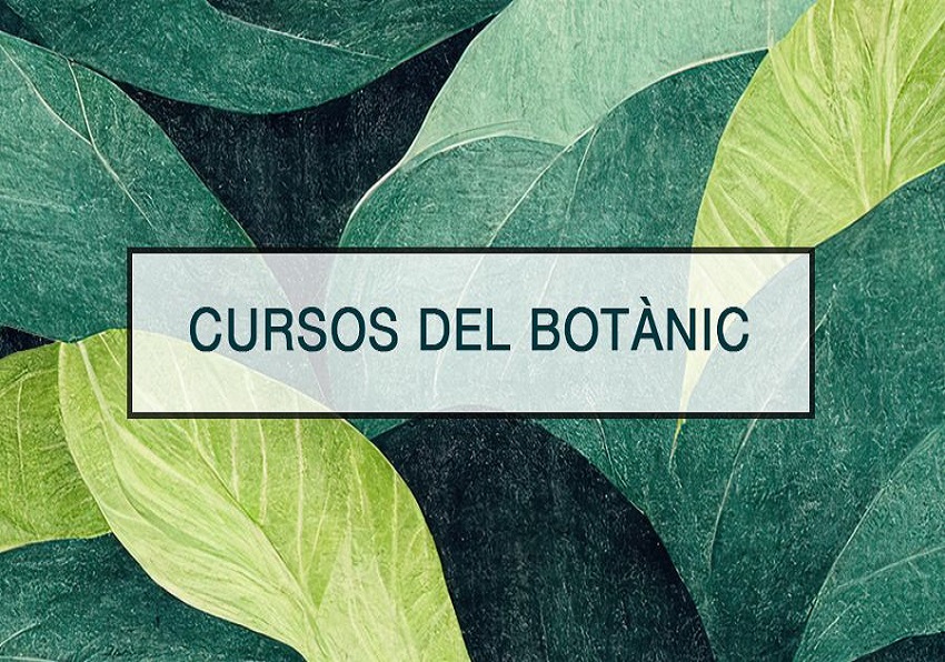 event image:Cursos en el Botànic