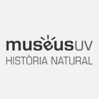 Museu de la Universitat de València d'Història Natural