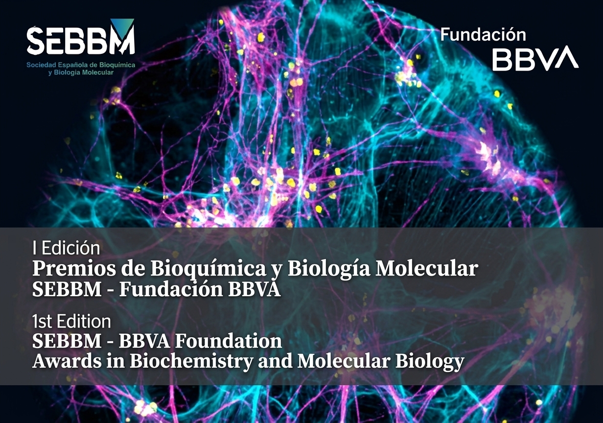 I Premios de Bioquímica y Biología Molecular SEBBM – Fundación BBVA