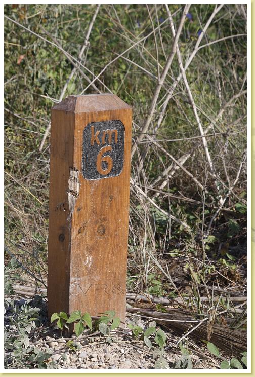 D-3-Km6