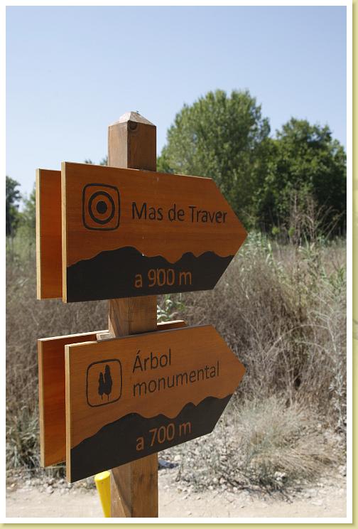 L-11-Cartel