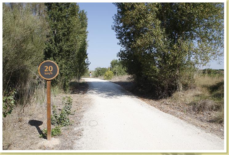 P-15-Vistas1