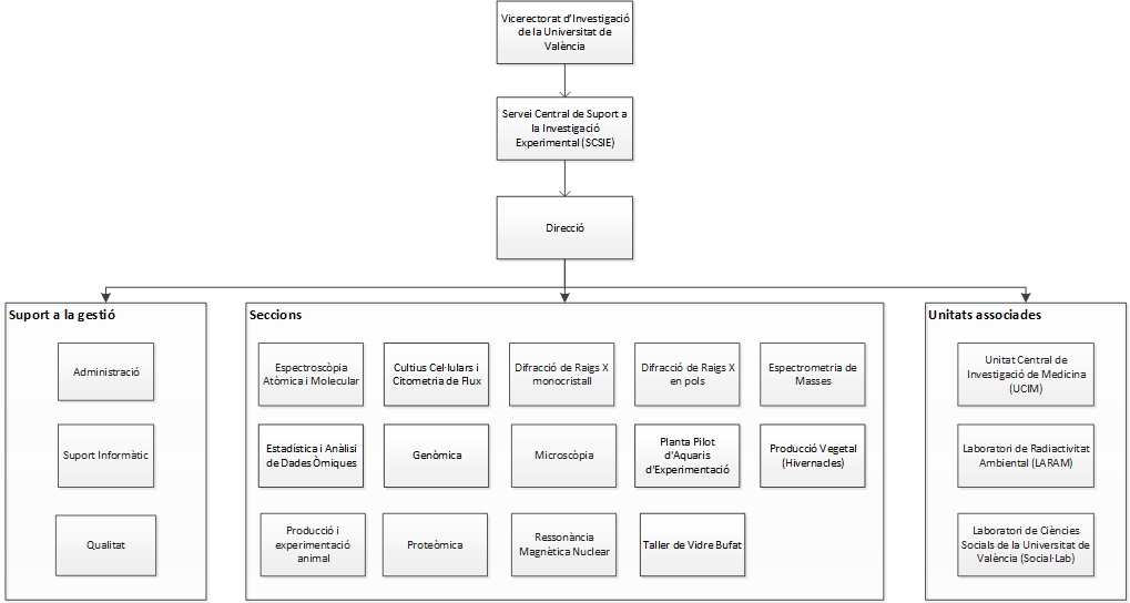 Organigrama