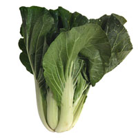 acelga fitoterapia