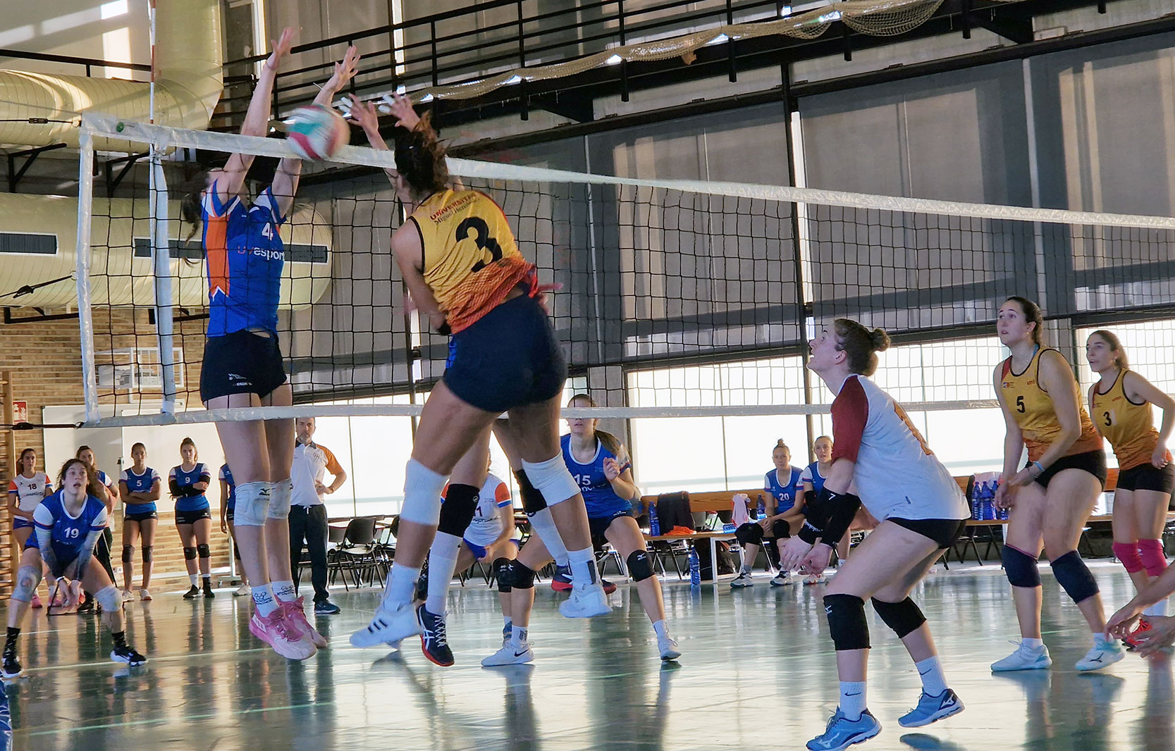 Partido de voleibol femenino