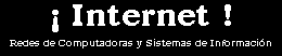 ¡ Internet !. 
 Redes de Computadoras y Sistemas de Información
