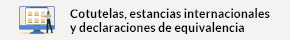 Cotutelas