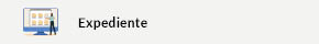 Se abrirá una nueva ventana. Expediente
