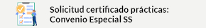 Se abrirá una nueva ventana. Solicitud certificado prácticas Convenio Especial SS