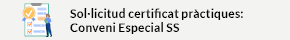 S'obrirà una nova finestra. Sol·licitud certificat pràctiques Conveni Especial SS