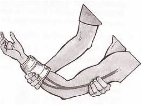 Presión arteria humeral