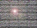 muro