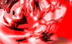 rosas