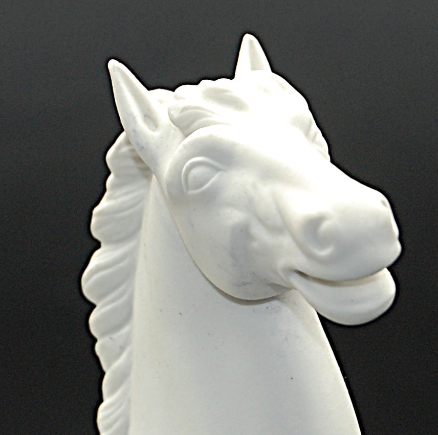 Caballos Bidasoa