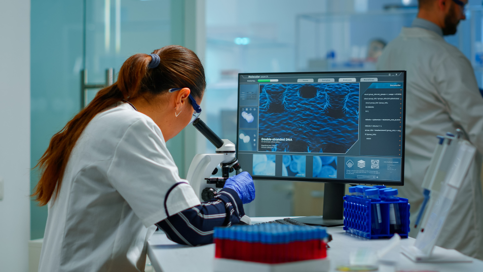 Lab