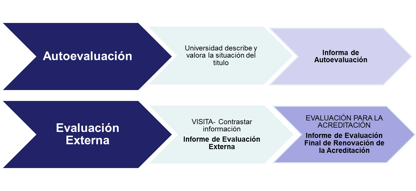Diagrama con las fases