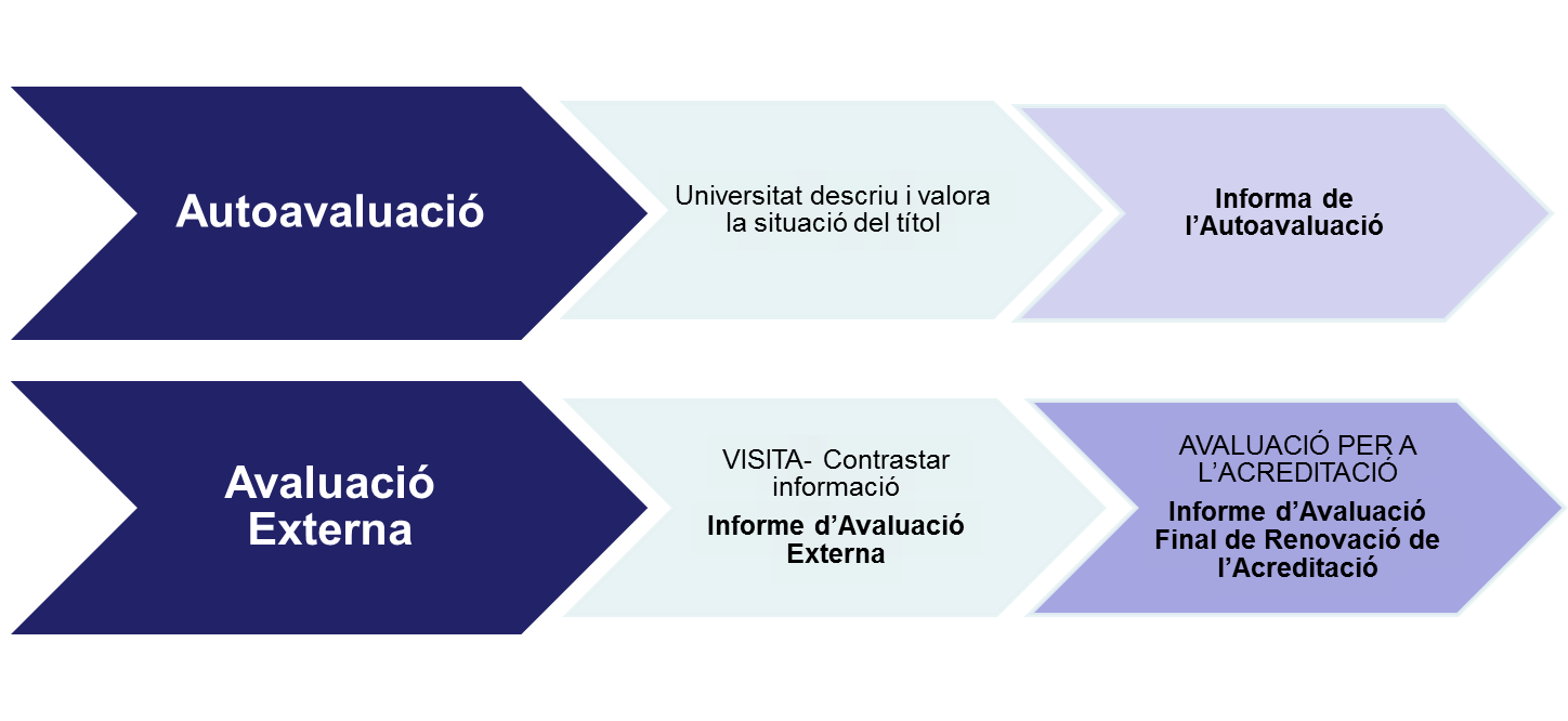 Diagrama amb les fases