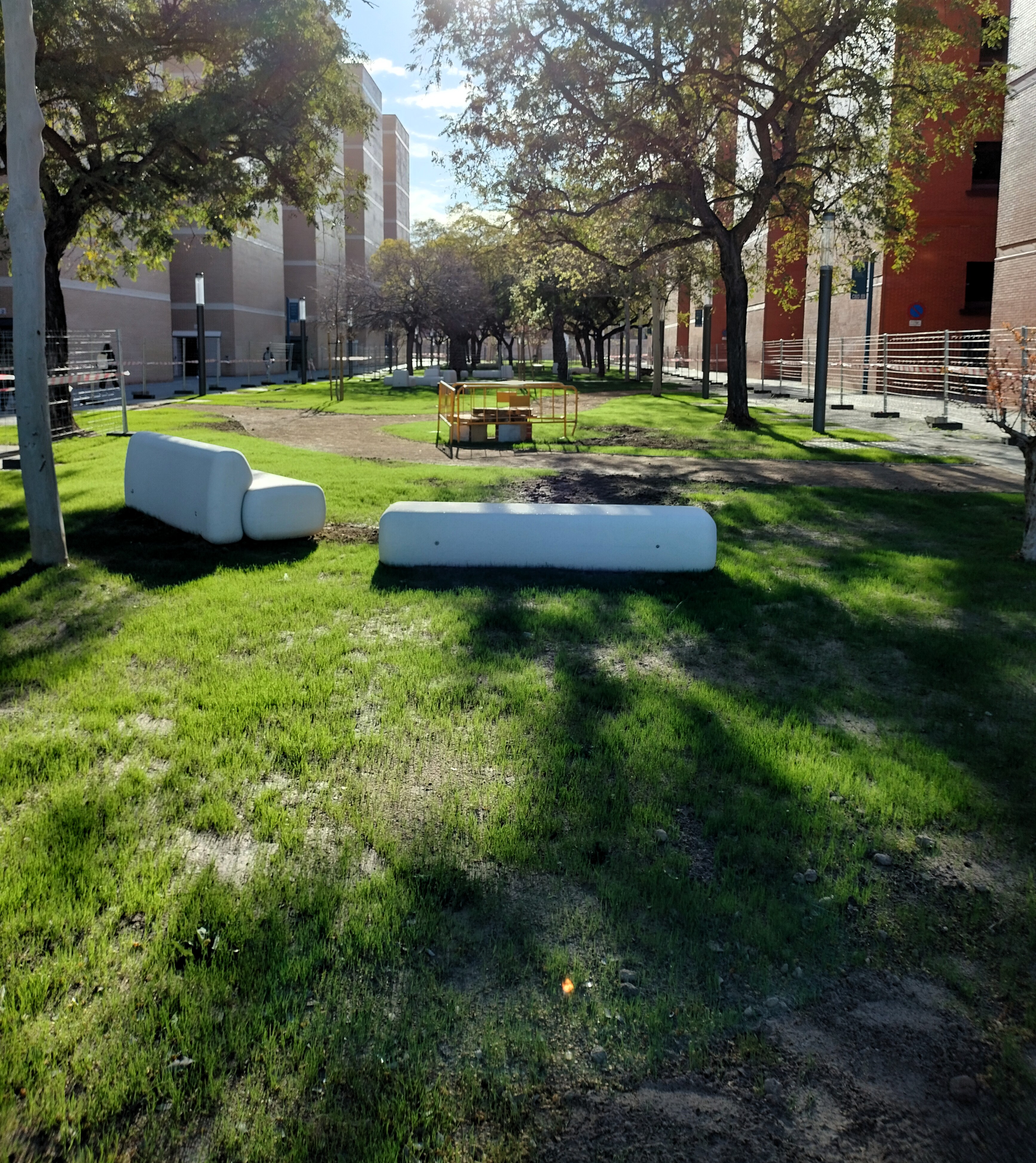 Zona entre aularis en execució, arbres i gespa