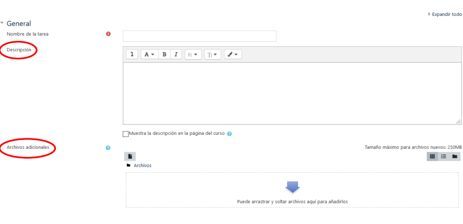Captura_Descripcio_Tasca_Arxius_Addicionals