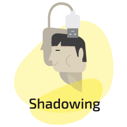 Programa Shadowing